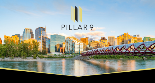 Pillar 9